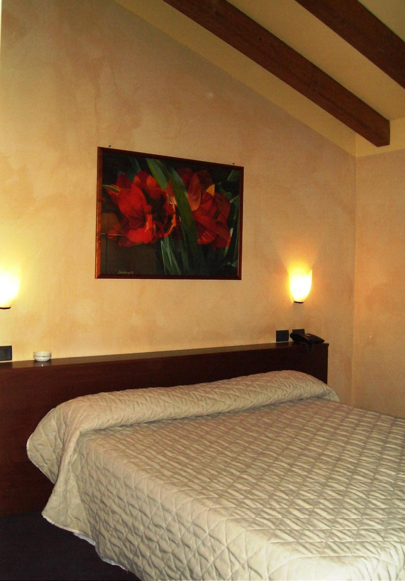 Hotel Parco Castelvetro Piacentino Phòng bức ảnh